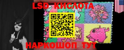 шишки Краснодар