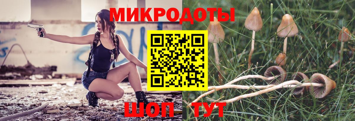 Псилоцибиновые грибы Psilocybe  Вход с VPN  Кисловодск 